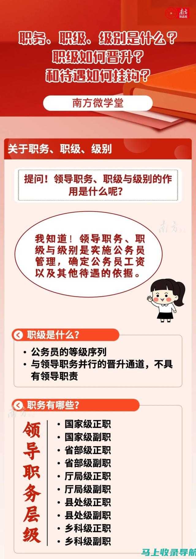 站长职级的职责与权力解析：如何平衡？